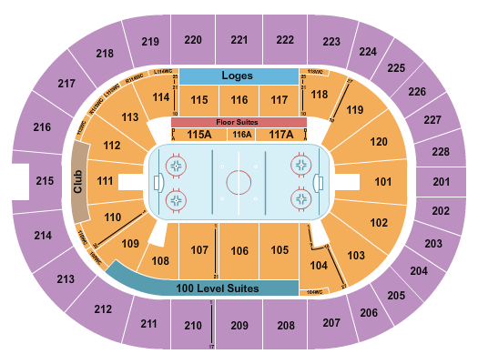 Hamilton Hammers vs. Toronto Marlies