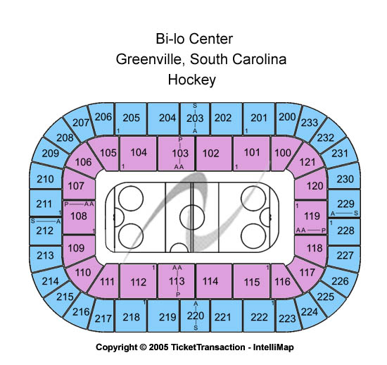 Bon Secours Wellness Arena Hockey Seating Chart