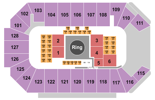 Comerica Center MMA 2 Seating Chart