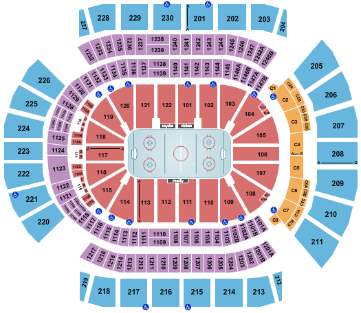 Desert Diamond Arena Hockey Seating Chart