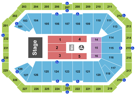 Chris Brown Dickies Arena Seating Chart
