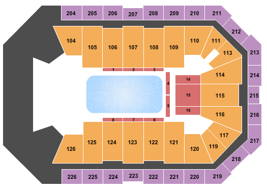 Dickies Arena Disney On Ice presents Dream Big Seating Chart