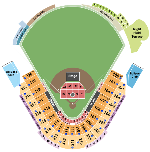 George M. Steinbrenner Field Anthon Hamilton Seating Chart