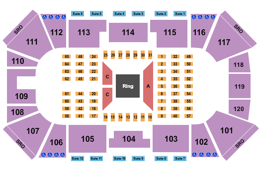 Liberty First Credit Union Arena Boxing 2 Seating Chart