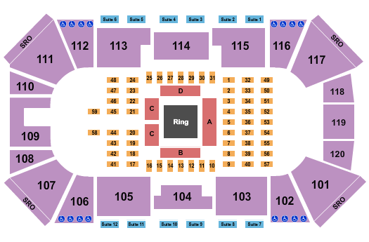 Liberty First Credit Union Arena MMA 2 Seating Chart
