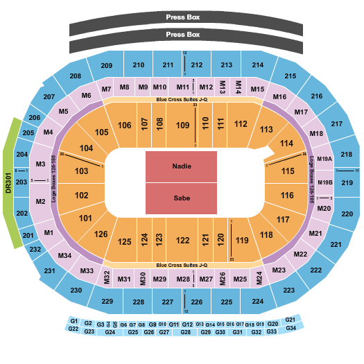 Little Caesars Arena Bad Bunny Seating Chart