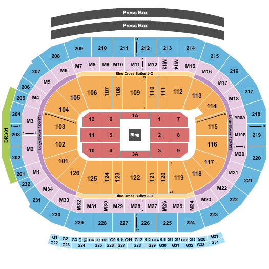 Little Caesars Arena Boxing Seating Chart