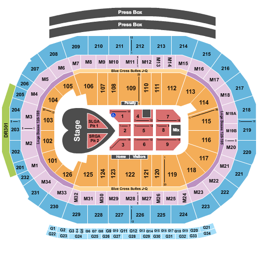 Little Caesars Arena Pink Seating Chart