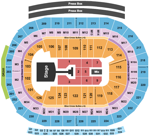 Little Caesars Arena Pink Seating Chart