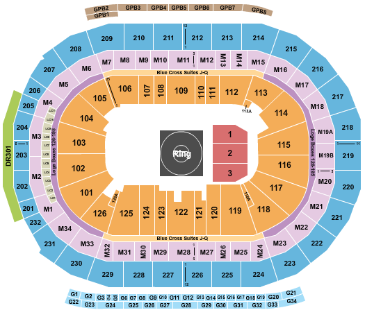 Little Caesars Arena Wrestling Seating Chart