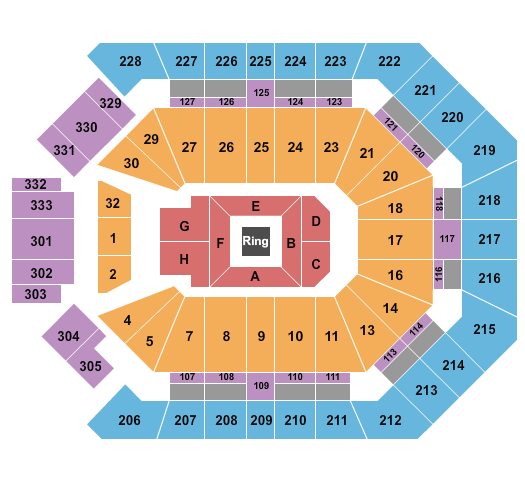 MGM Grand Garden Arena Boxing 2 Seating Chart