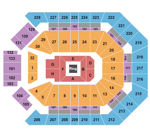 MGM Grand Garden Arena Boxing Seating Chart