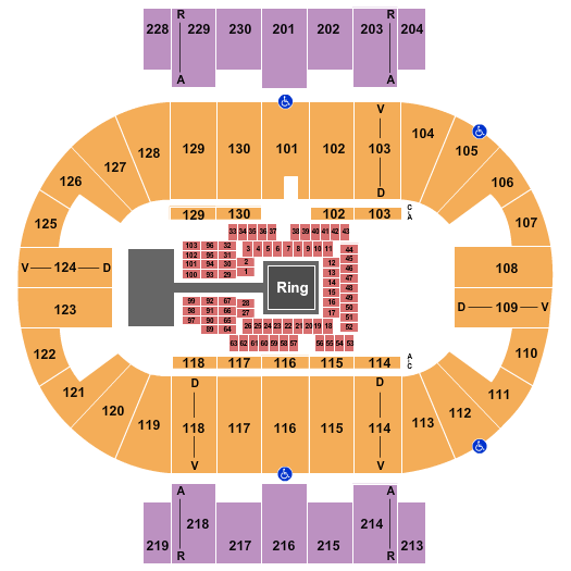 Pensacola Bay Center Boxing 2 Seating Chart