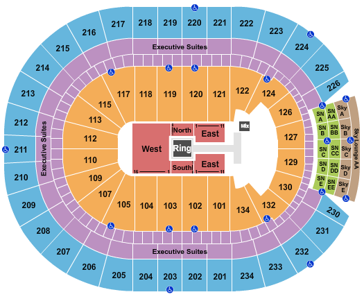 WWE Summer Tour