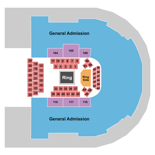 Sames Auto Arena Boxing Seating Chart