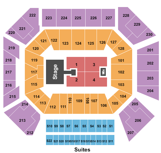 Wintrust Arena Burna Boy Seating Chart