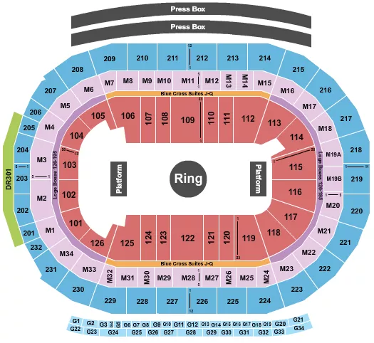Breakdown Of The Little Caesars Arena Seating Chart